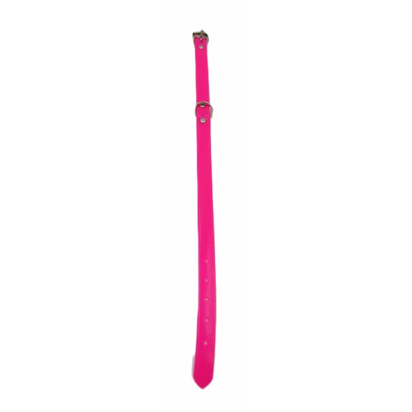 Collar Biothane para perro Peq. - Imagen 8