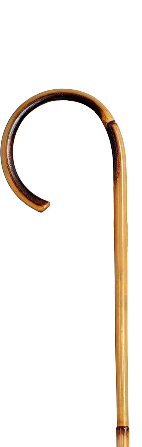 Bastón junco porra natural Ref: 514. REF 008022 - Imagen 2