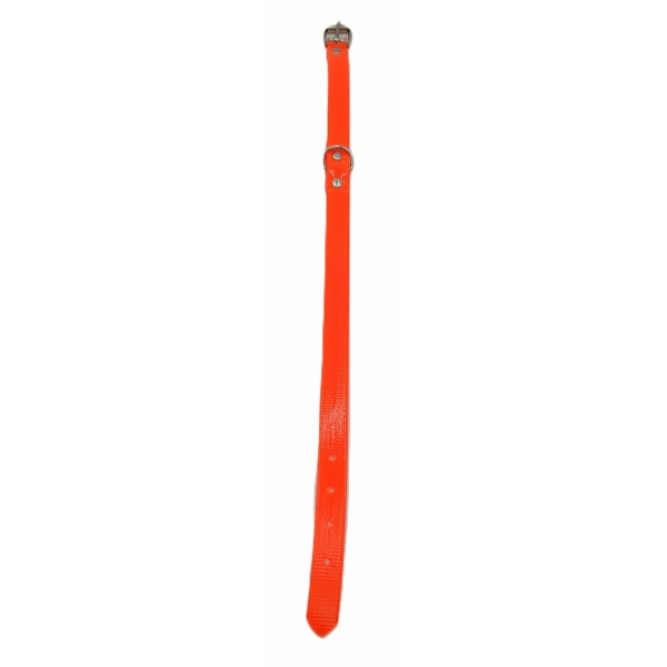 Collar Biothane para perro Med. - Imagen 3