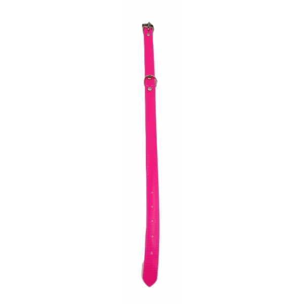 Collar Biothane para perro Med. - Imagen 8