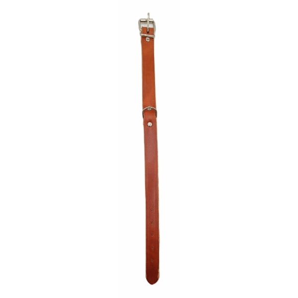 Collar cuero extra para perro. - Imagen 3