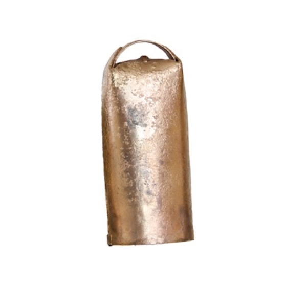 Campanillas - Imagen 15