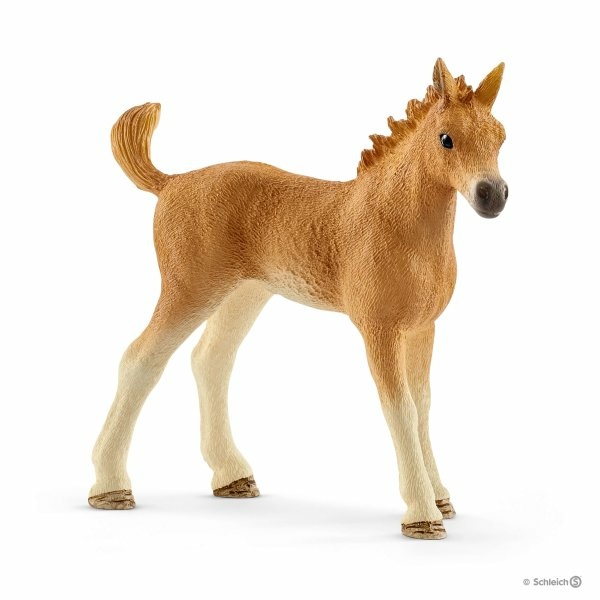 Schleich 42432 Set de cuidado de crías de Horse Club. REF 013052 - Imagen 5