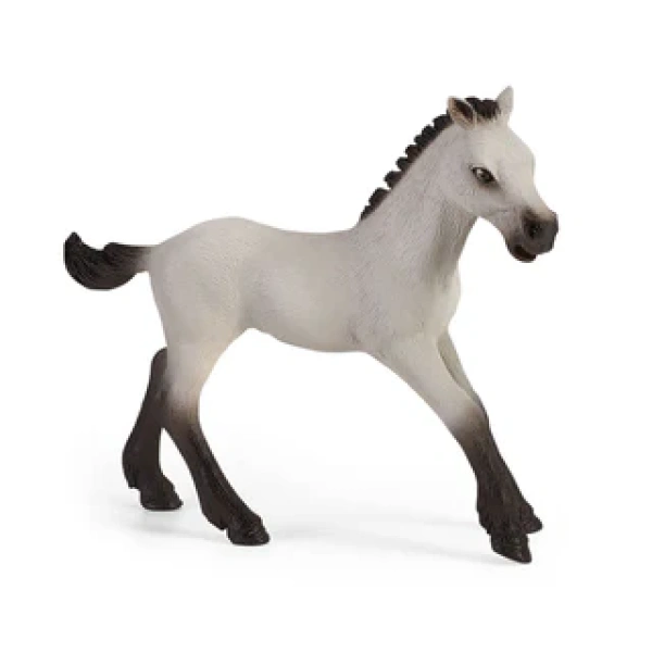 Schleich 42534 Divirtiéndonos con el potro. REF 013039 - Imagen 3